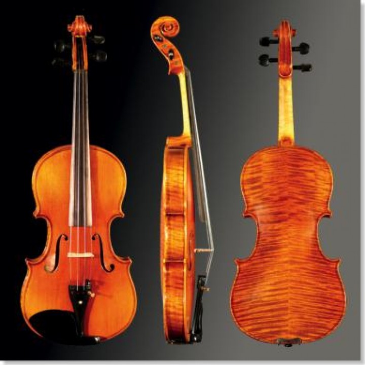 Franz Sandner Violin-Set 4/4 90/309